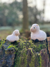 Load image into Gallery viewer, The Crafty Kit Company - Sheep Family - Needle Felting Craft Kit

