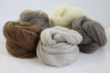 Load image into Gallery viewer, Hawthorn Handmade - British Breeds Wool Bundle No.1
