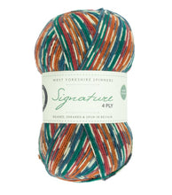 Load image into Gallery viewer, West Yorkshire Spinners - Signature 4Ply Birds Pheasant
