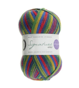 West Yorkshire Spinners - Signature 4Ply Winwick Mum Brightside